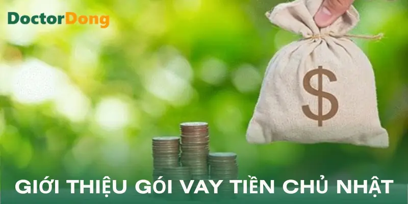 vay-tien-chu-nhat-khai-niem