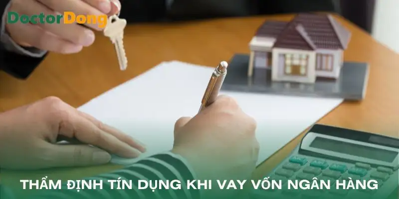 vay-von-ngan-hang-kiem-tra-lich-su
